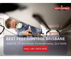 Trusted Pest Exterminators Adelaide – Call Today