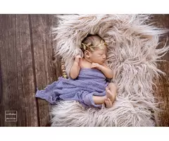 Newborn Photographer Brisbane
