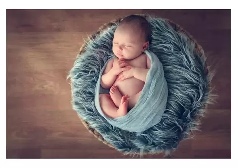 Newborn Photographer Brisbane - 2/2