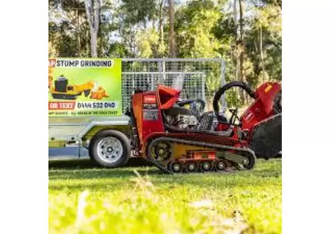 Tree Stump Removal Gold Coast: Fast and Affordable Stump Grinding Services
