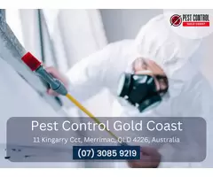 Pest Exterminators Gold Coast – Fast & Professional