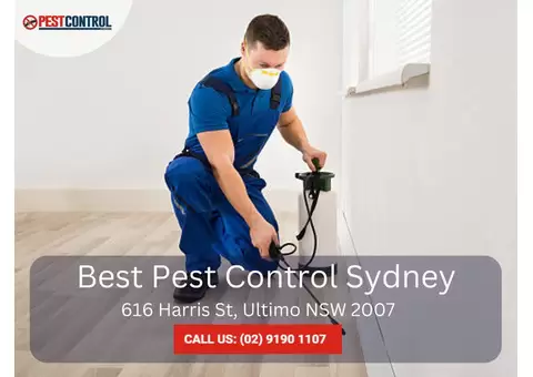 Residential Exterminators Sydney – Safe & Effective