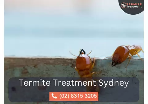 Termite Inspection Sydney – Early Detection Saves You Money