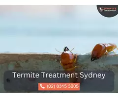 Termite Inspection Sydney – Early Detection Saves You Money