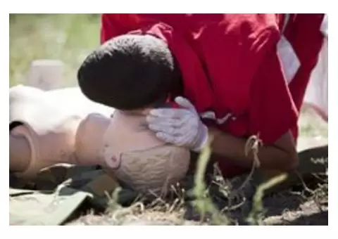 First Aid Course Dandenong