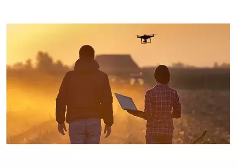 Partner with Experts in Agricultural Visa Services in Australia