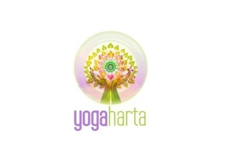 Yoga Training Classes for Beginners - 1/5