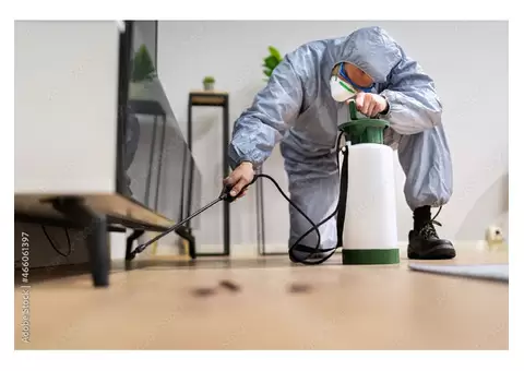 Dereks Bed Bugs Control Melbourne - 4/5