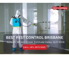 Expert Pest Exterminators in Brisbane!