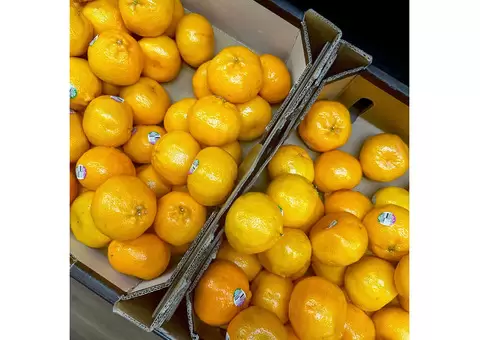 Hawaiian's Duncraig - 12/12