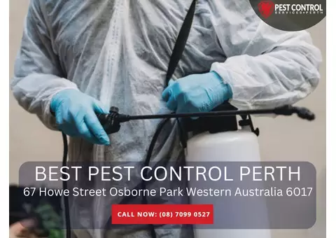 Local Pest Agencies Near You in Perth!