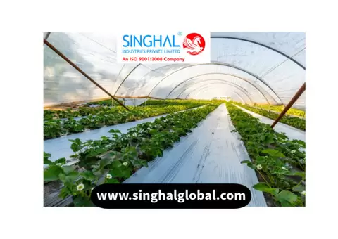 The Essential Guide to Greenhouse Film: Types, Applications, and Quality