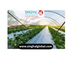 The Essential Guide to Greenhouse Film: Types, Applications, and Quality