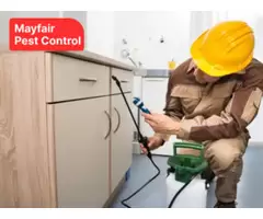 Professional Commercial Pest Control Adelaide | MayFair Pest Control Pty Ltd