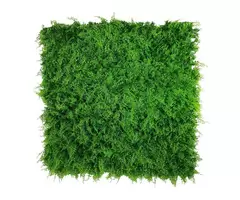 Breathe Life Into Your Space with Artificial Green Walls