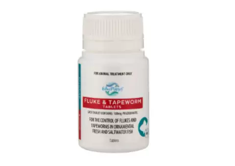 Blue Planet Fluke/Tapeworm Tabs