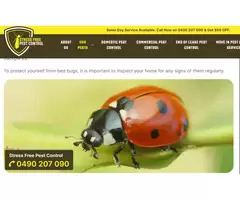 Effective Bed Bug Pest Control Solutions in Melbourne