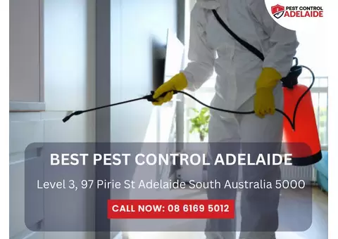 Commercial Pest Control in Adelaide – Protect Your Business