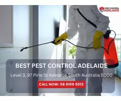 Commercial Pest Control in Adelaide – Protect Your Business