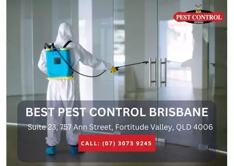 Home Insect Control Services in Brisbane