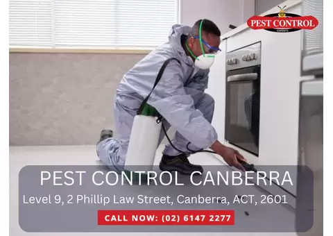Reliable Pest Management in Canberra – Call Now!