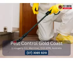 Expert Pest Inspection Gold Coast – Call Now!