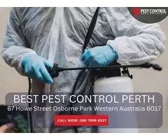 Affordable Pest Inspection Cost in Perth