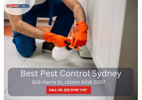 Thorough Pest Inspection Sydney Services