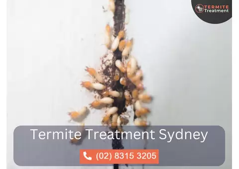 Emergency Termite Control in Sydney