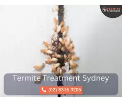 Emergency Termite Control in Sydney