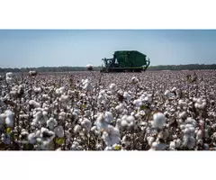 Exceptional Recruitment for Tractor Jobs Across Australia