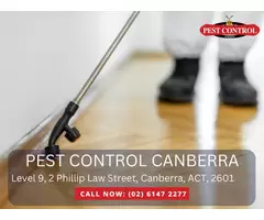 Pest Inspection in Canberra