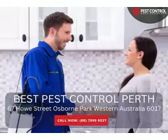 Effective Pest Control for Businesses in Perth