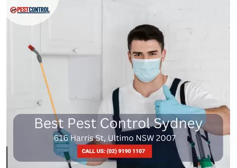 Professional Commercial Exterminators in Sydney
