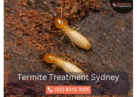 Expert Termite Detection Services in Sydney