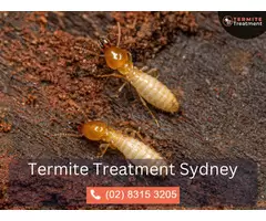 Expert Termite Detection Services in Sydney