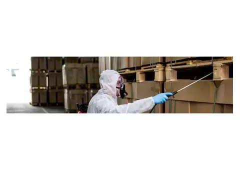 Expert Commercial Pest Control Services for Businesses