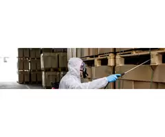 Expert Commercial Pest Control Services for Businesses