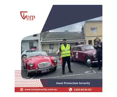 Asset Protection Security