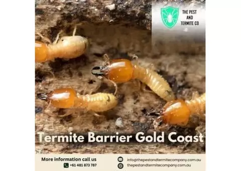 Effective Termite Barrier Solutions in Gold Coast