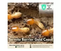 Effective Termite Barrier Solutions in Gold Coast
