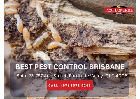 Trusted Pest Inspection Services Brisbane