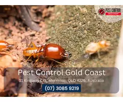Expert Building Inspection Gold Coast