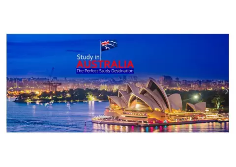 Best Education Consultancy Near Me - 3/13