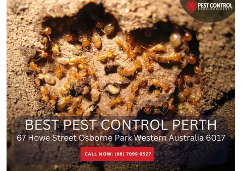 Trusted Pest Control Services Perth – Call Us!