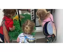 Learn About Children’s Hair Colours with Early Childhood Education Jandakot