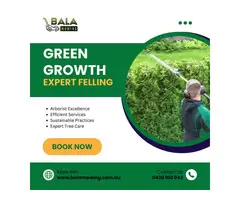 western suburbs mower service