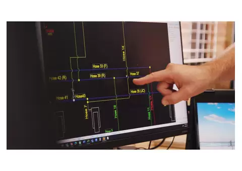 Armadillo Group - 1/6