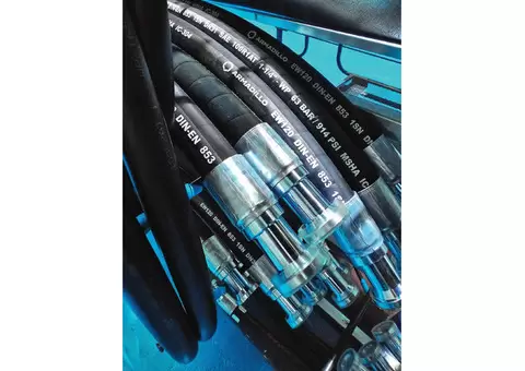 Armadillo Group - 3/6