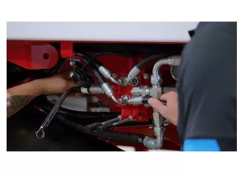 Armadillo Group - 5/6